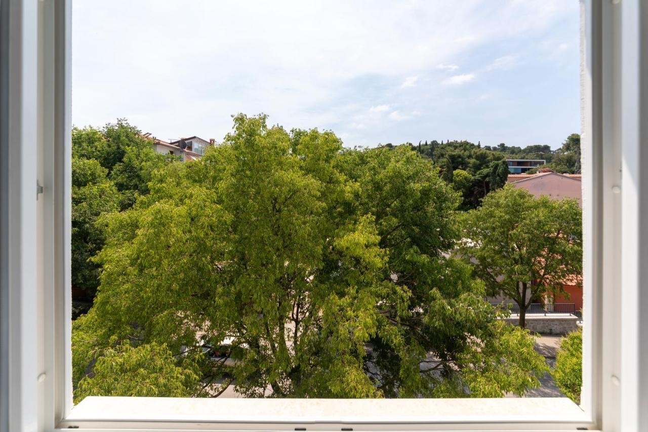 Ampelea Apartment